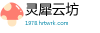 灵犀云坊